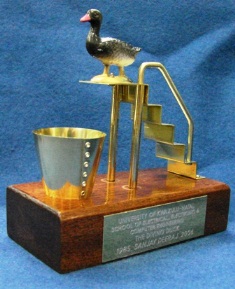 Diving Duck